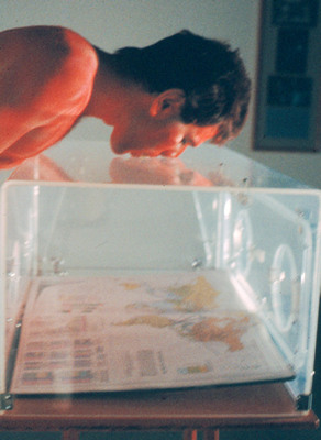 Spider — Performance by Peter Cosgrave