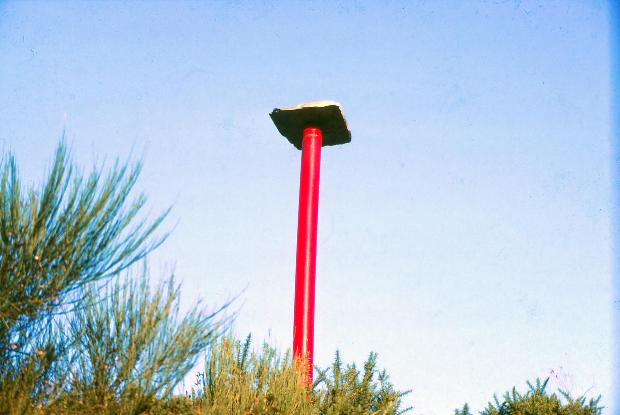 Worm — Sculpture by Peter Cosgrave