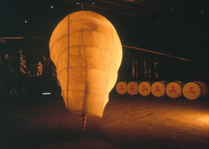 Wasp — Installation by Peter Cosgrave